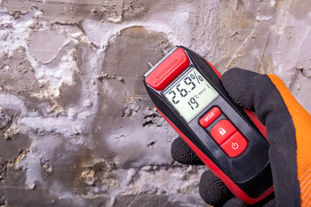 Crawl Space Mold Removal in Crestwood Village, NJ