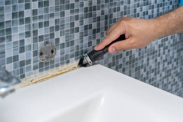 Best Mold Removal Company Near Me  in Crestwood Village, NJ