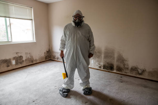 Best Crawl Space Mold Removal  in Crestwood Village, NJ