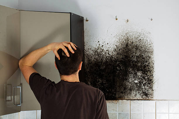 Best Mold Cleaning Services  in Crestwood Village, NJ